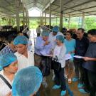 Extension agents receiving hands-on training at a farm near Ho Chi Minh City, Vietnam